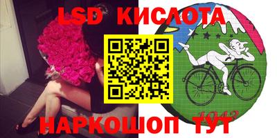 молекула духа Камышлов