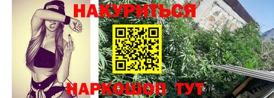 молекула духа Камышлов