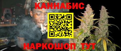 молекула духа Камышлов