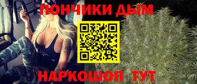 молекула духа Камышлов