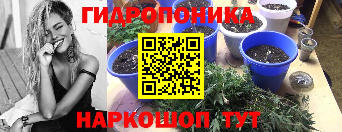 Бошки Шишки индика Дальнегорск